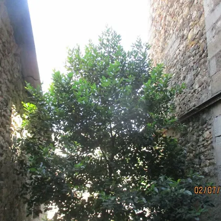 Zenitude * Lodève